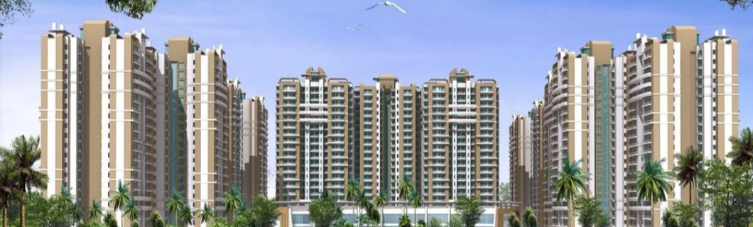 noida4
